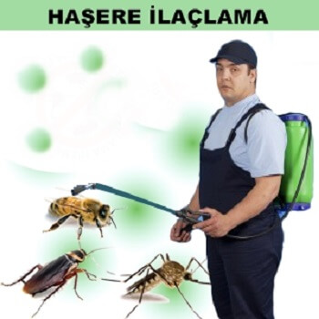 Altıntaş Böcek İlaçlama